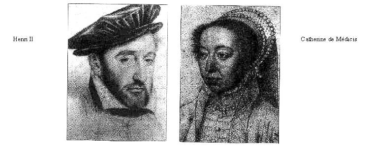 Nostradamus biographie, Salon de Provence et saint Rémy de Provence